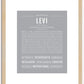 Levi | Name Art Print