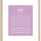 Levi | Name Art Print