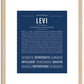 Levi | Name Art Print