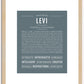 Levi | Name Art Print