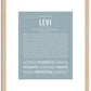 Levi | Name Art Print