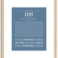 Levi | Name Art Print