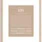 Levi | Name Art Print