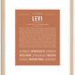 Levi | Name Art Print