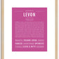 Levon | Name Art Print