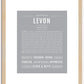 Levon | Name Art Print