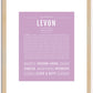 Levon | Name Art Print