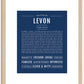 Levon | Name Art Print