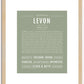 Levon | Name Art Print