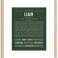 Liam | Name Art Print