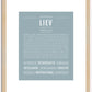 Liev | Name Art Print