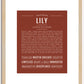 Lily | Name Art Print