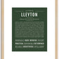 Lleyton | Name Art Print