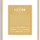 Lleyton | Name Art Print