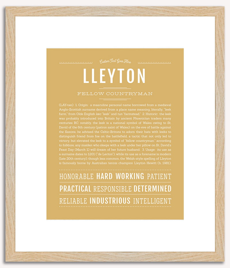 Lleyton | Name Art Print