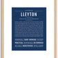 Lleyton | Name Art Print