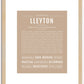 Lleyton | Name Art Print