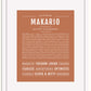 Frame Options | Terra Cotta | White Frame, Matted