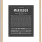 Marigold | Name Art Print