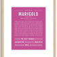 Marigold | Name Art Print