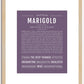 Marigold | Name Art Print