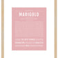 Marigold | Name Art Print