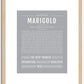 Marigold | Name Art Print