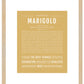 Marigold | Name Art Print