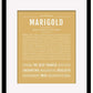 Frame Options | Matte Gold | Black Frame, Matted