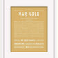 Frame Options | Matte Gold | White Frame, Matted