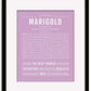 Frame Options | Lilac | Black Frame, Matted