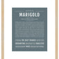 Marigold | Name Art Print