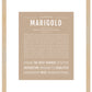 Marigold | Name Art Print