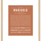 Marigold | Name Art Print