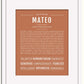 Frame Options | Terra Cotta | White Frame, Matted