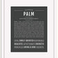 Palm | Name Art Print