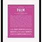 Palm | Name Art Print