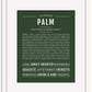 Palm | Name Art Print