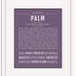 Palm | Name Art Print