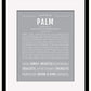 Palm | Name Art Print
