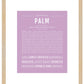 Palm | Name Art Print
