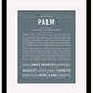Palm | Name Art Print