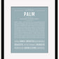 Palm | Name Art Print