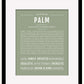 Palm | Name Art Print