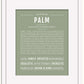 Palm | Name Art Print