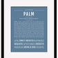 Palm | Name Art Print