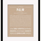Palm | Name Art Print