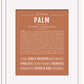 Palm | Name Art Print