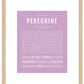 Frame Options | Lilac | Maple Frame, Matted