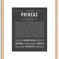 Phineas | Name Art Print